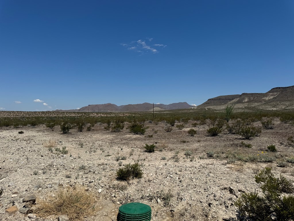 480 Doce Doe Path Property Photo 18