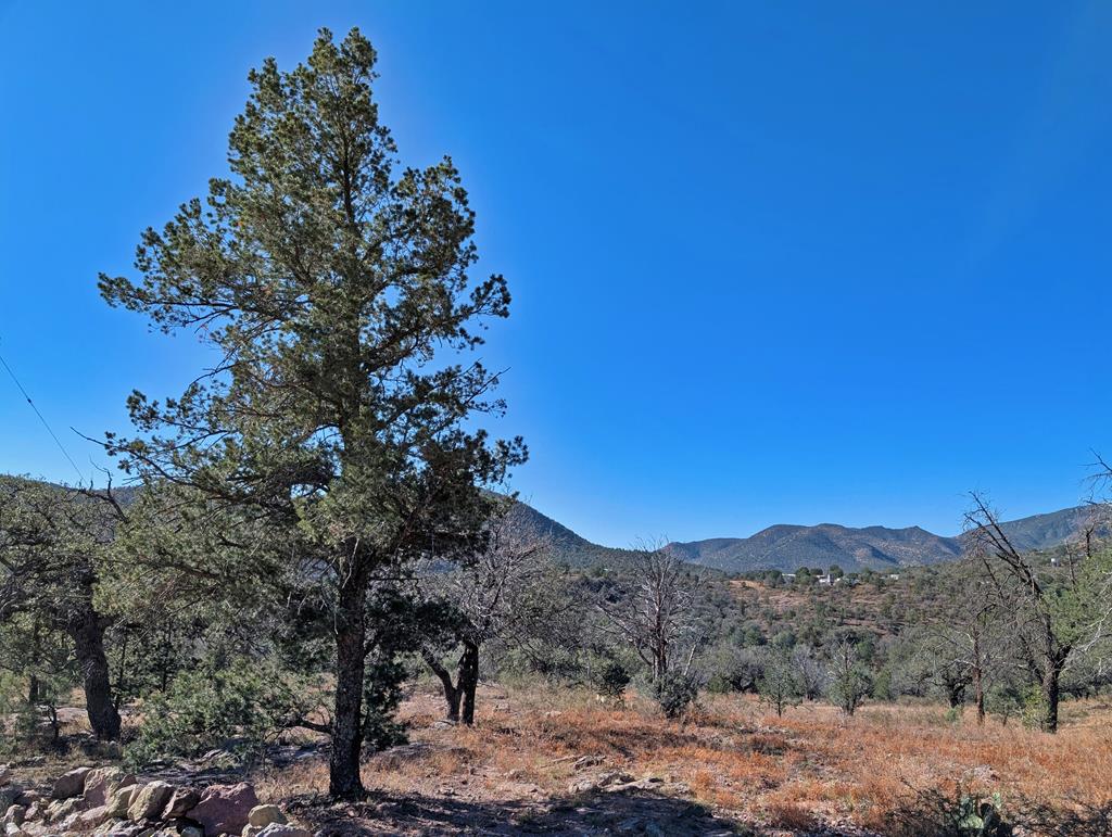 105 Crazy Horse Trail Property Photo 2
