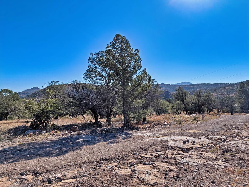 105 Crazy Horse Trail Property Photo 3