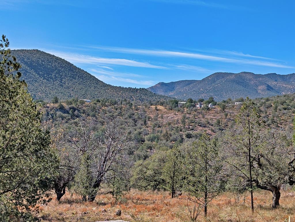 105 Crazy Horse Trail Property Photo 4