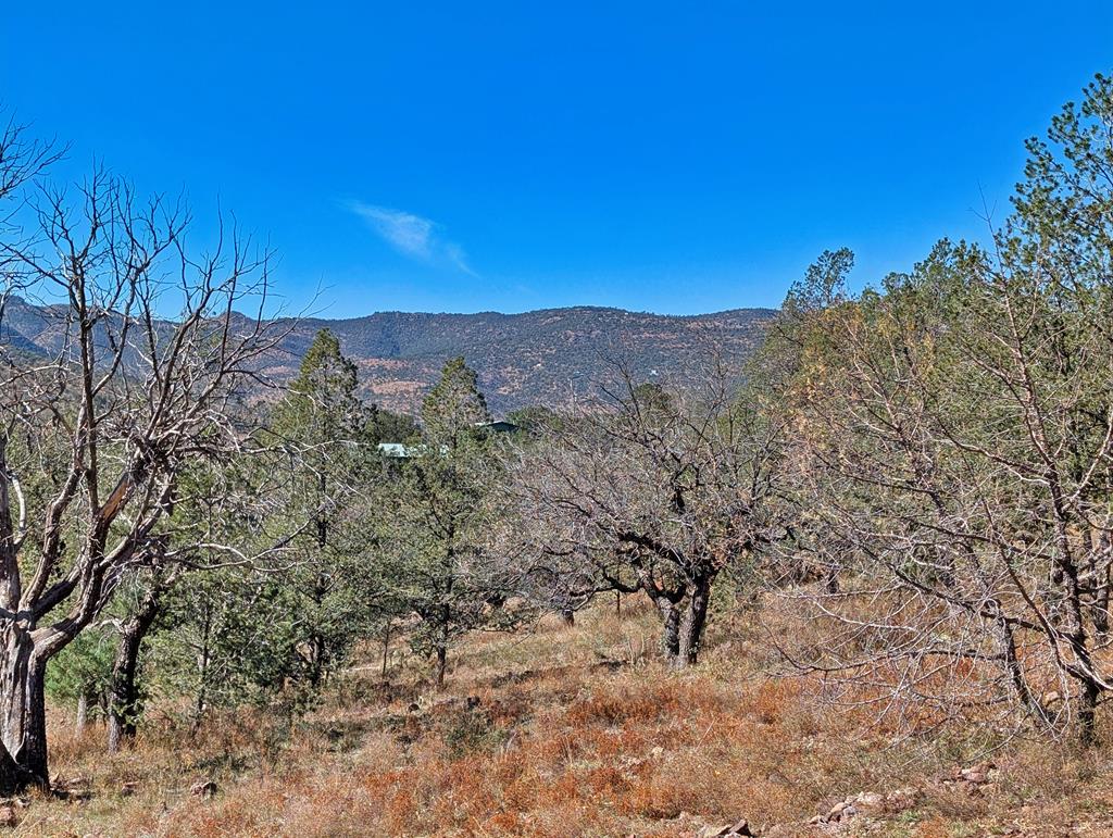 105 Crazy Horse Trail Property Photo 5
