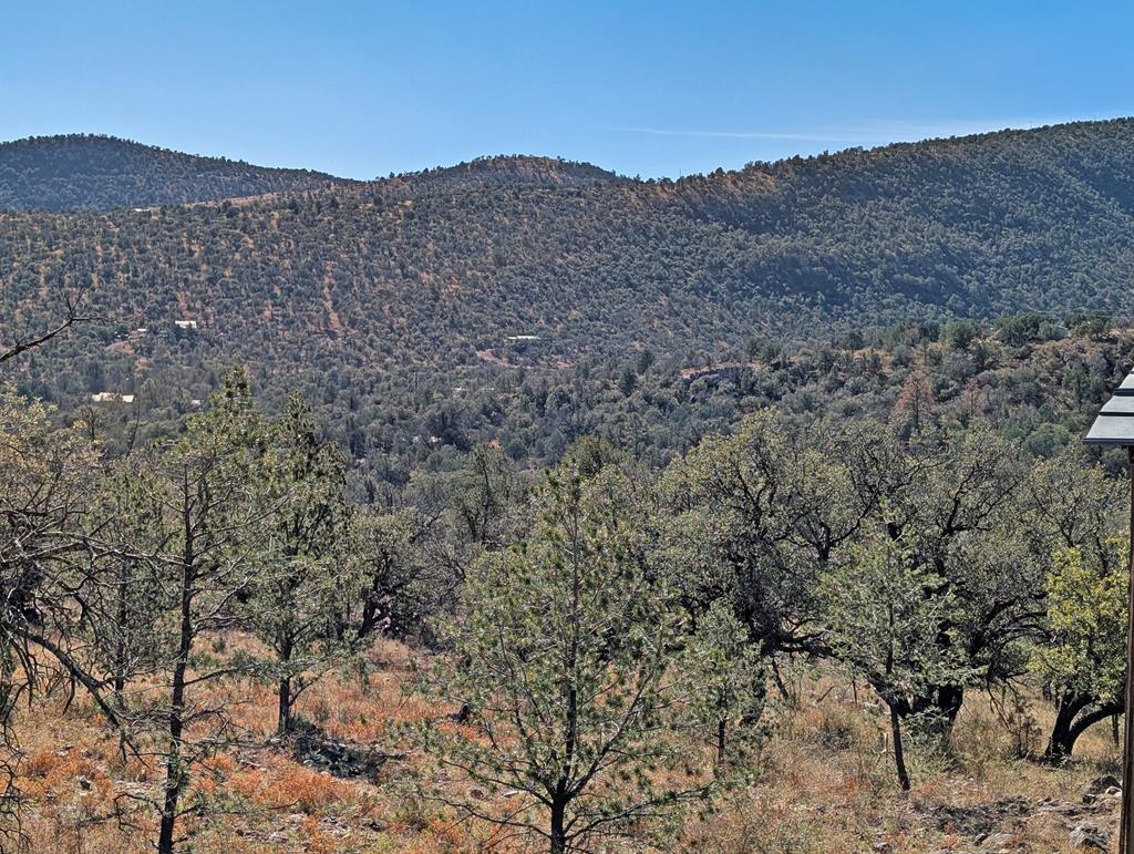 105 Crazy Horse Trail Property Photo 6