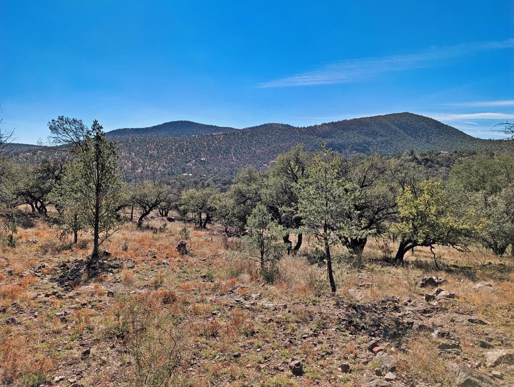 105 Crazy Horse Trail Property Photo 7