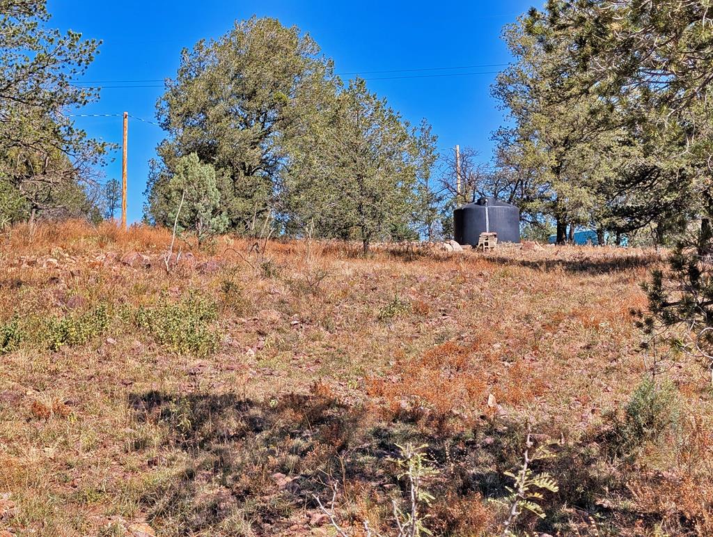 105 Crazy Horse Trail Property Photo 25