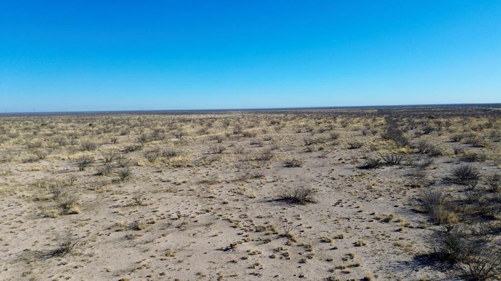 Tbd Buena Vista Property Photo 1
