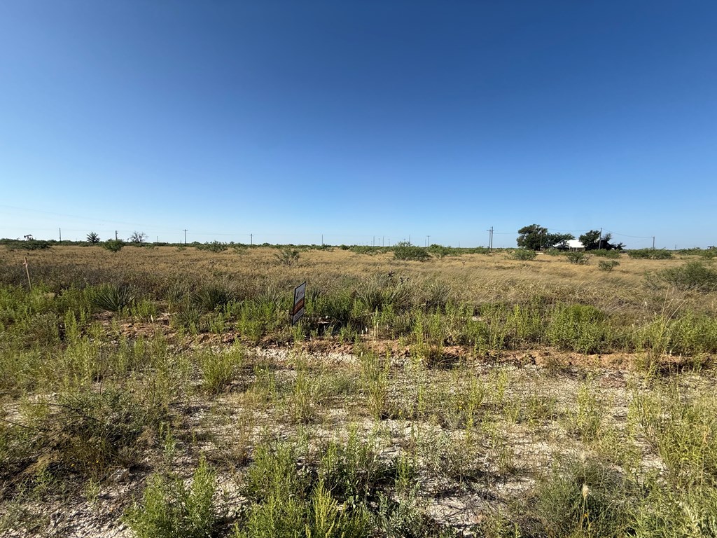 Lot 105 County Rd 409-k Property Photo 2