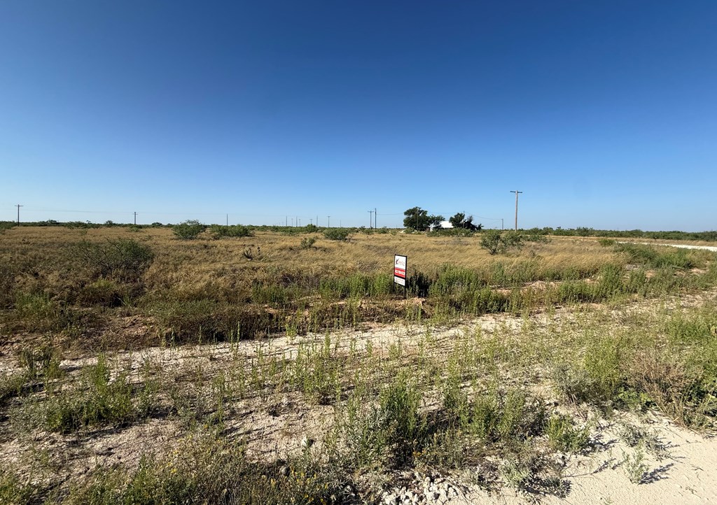 Lot 106 County Rd 409-k Property Photo 2