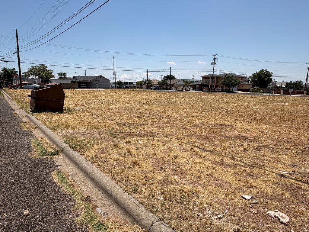 1006 Wink Ave Property Photo 4