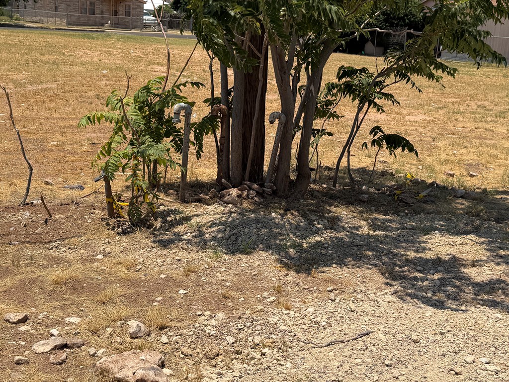 1006 Wink Ave Property Photo 5