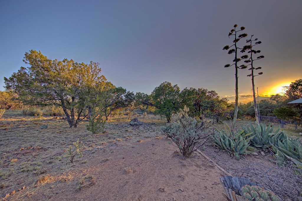 111 Juniper Property Photo 38