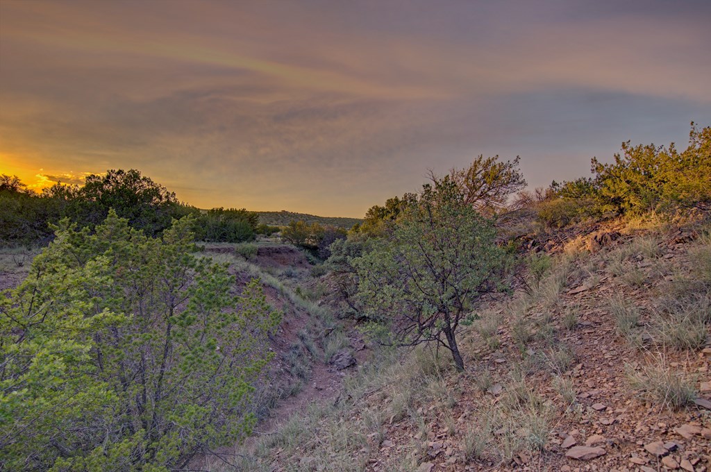 111 Juniper Property Photo 39