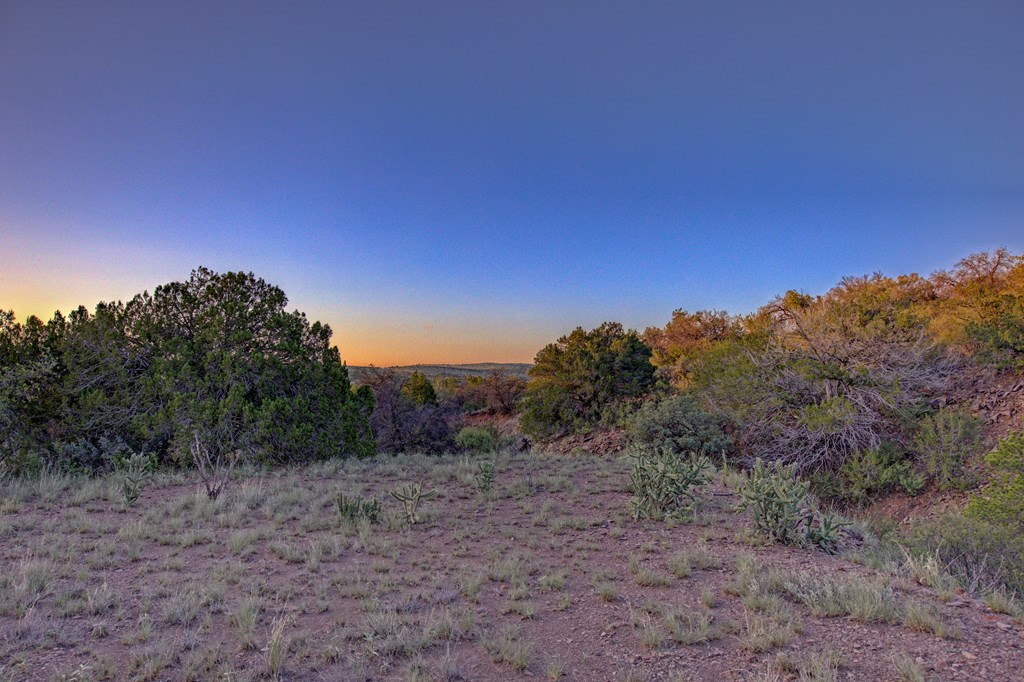111 Juniper Property Photo 40