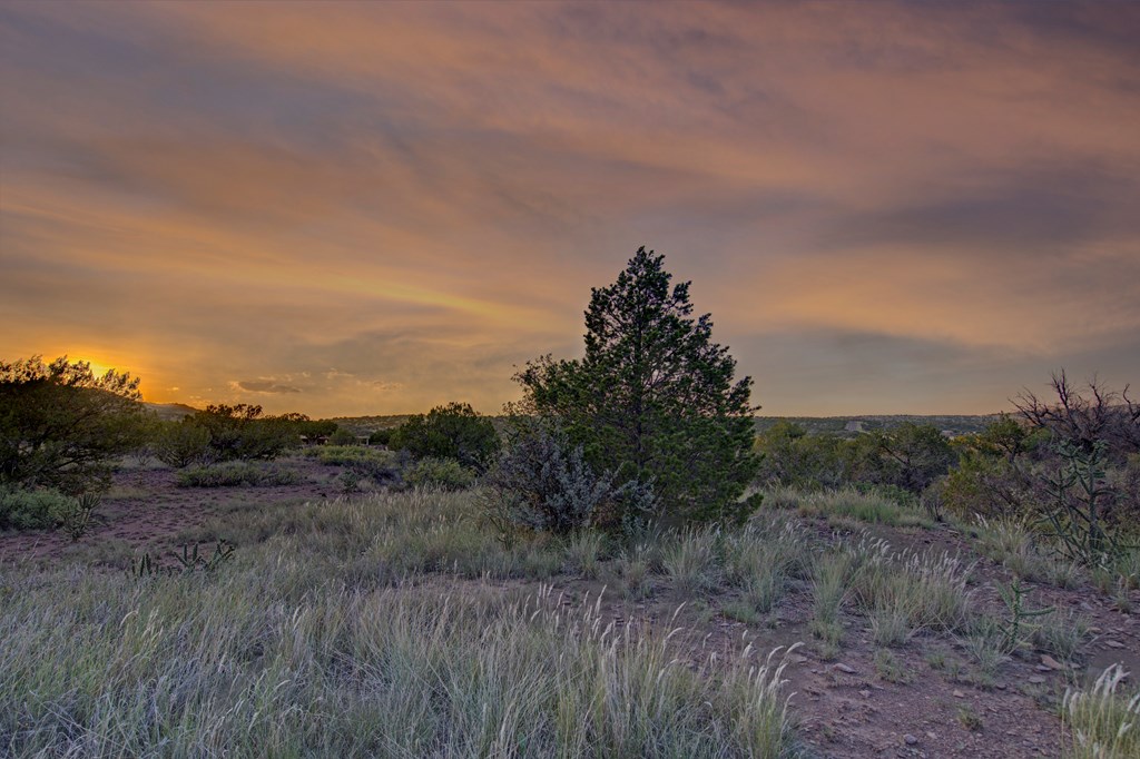 111 Juniper Property Photo 41