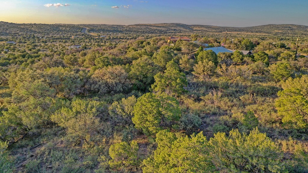 111 Juniper Property Photo 54