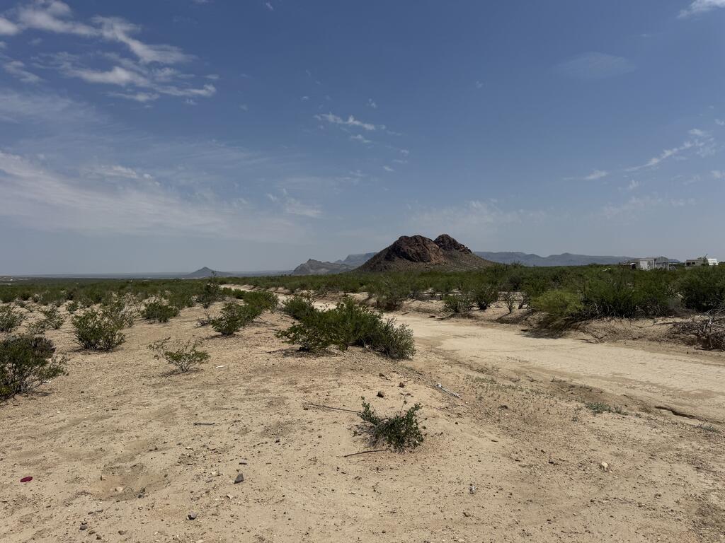 1130 Camels Hump Property Photo 6