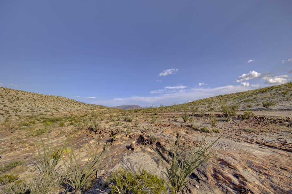 8117 Cedar Springs Road Property Photo 4