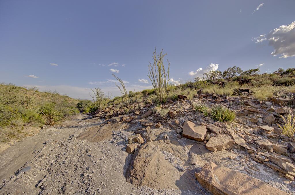 8117 Cedar Springs Road Property Photo 6