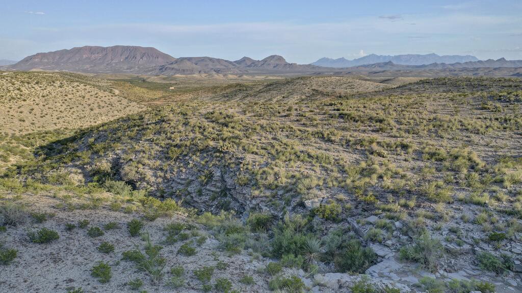 8117 Cedar Springs Road Property Photo 33