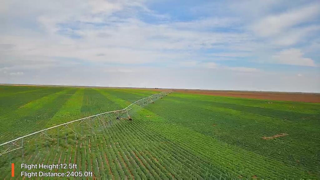 Tbd County Rd 335 Property Photo 1