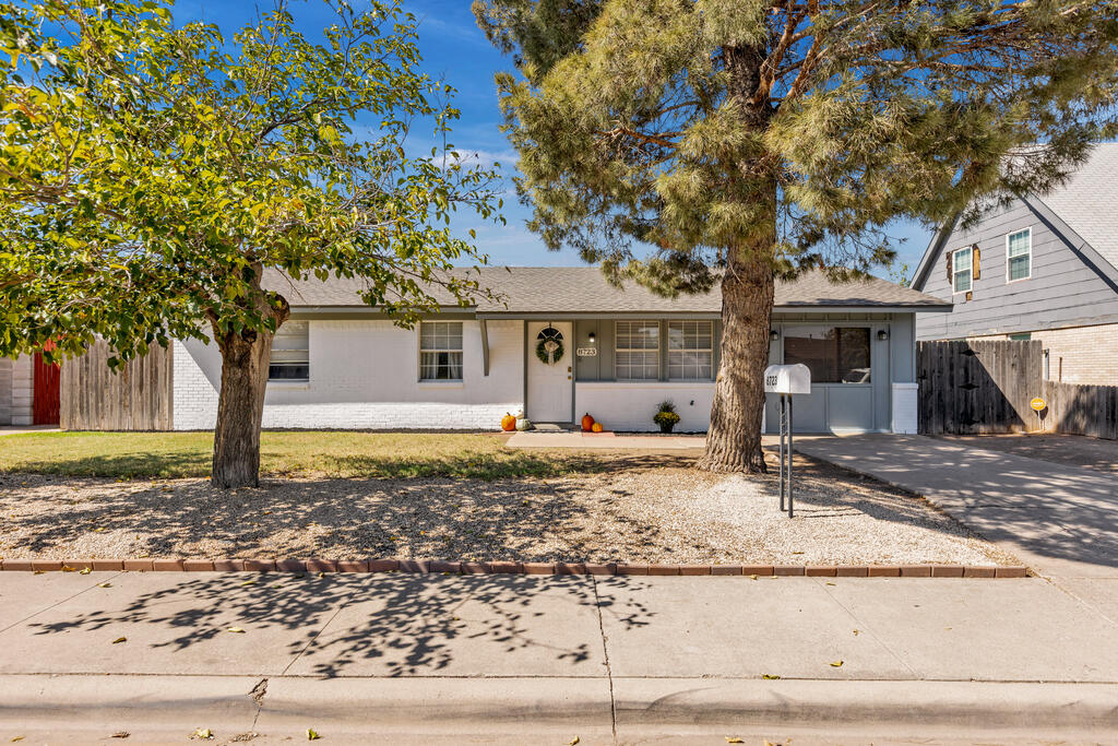 8723 Lamar Ave Property Photo 1