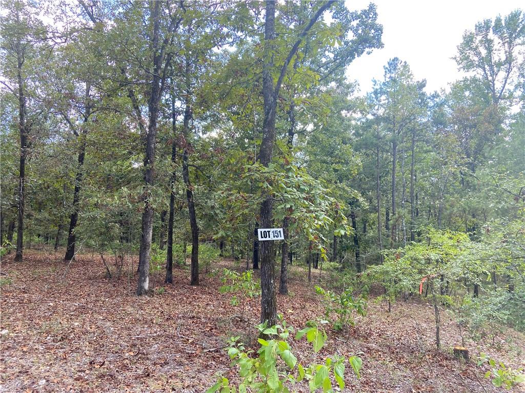 151 Camp Creek Ranch Property Photo