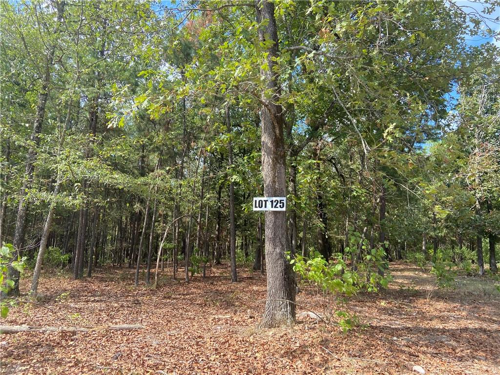 125 Camp Creek Ranch Property Photo