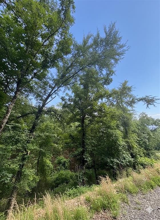 132 Western Cedar Trail Property Photo 1