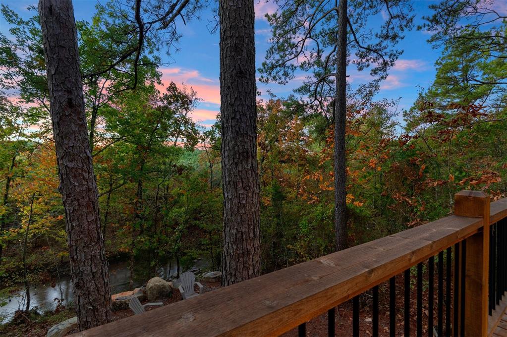 453 Bear Pine Trail Property Photo 34