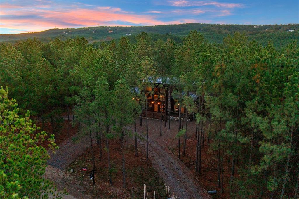453 Bear Pine Trail Property Photo 49