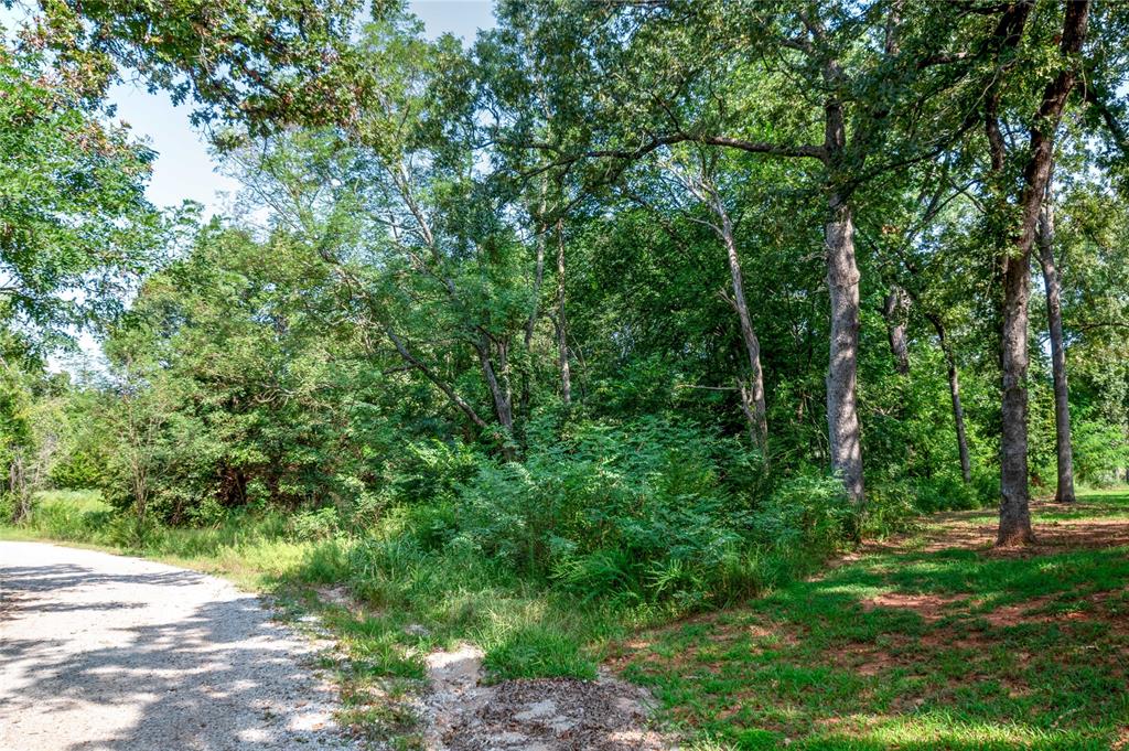 13706 Oak Grove Court Property Photo 16