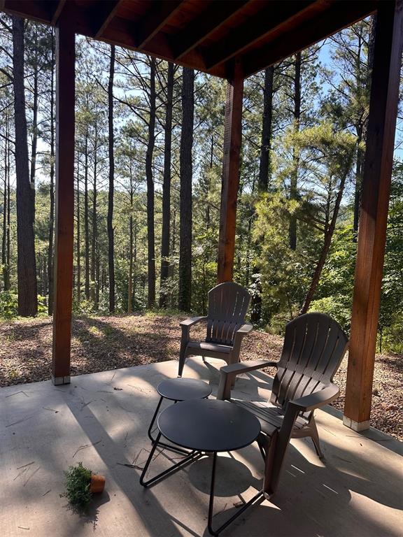 143 Gnarly Maple Trail Property Photo 21
