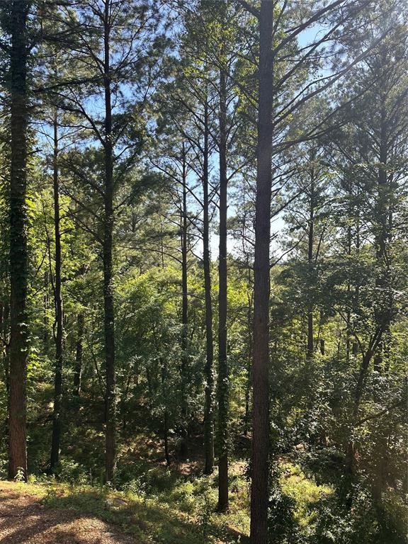 143 Gnarly Maple Trail Property Photo 23