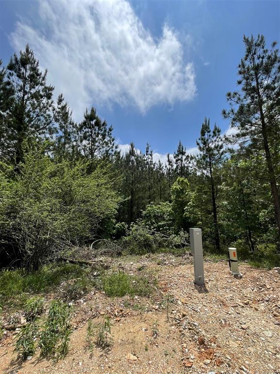 677 Timber Creek Trails South Xi Property Photo 1