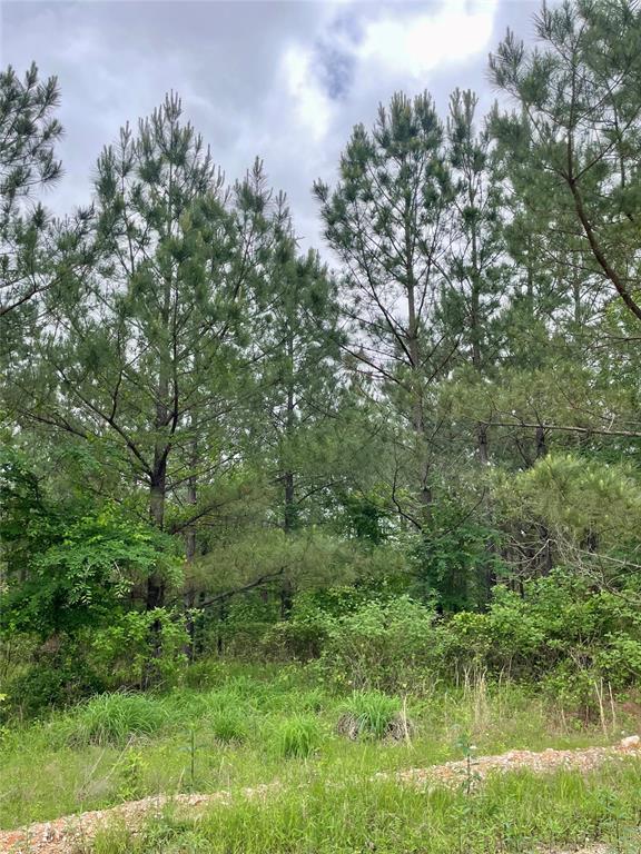 679 Timber Creek Trails South XI Property Photo 1
