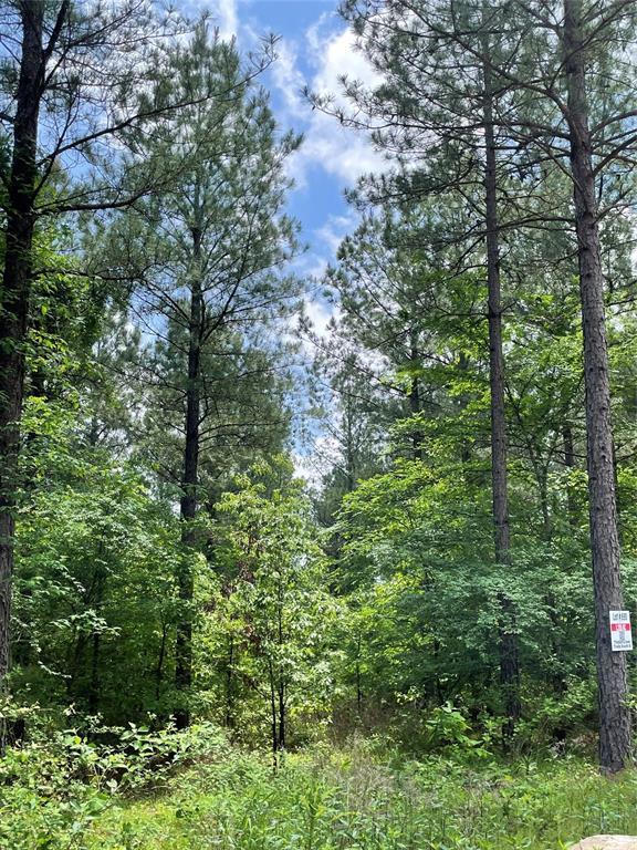 690 Timber Creek Trails South Xi Property Photo 1