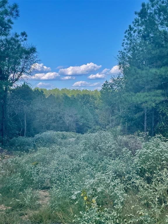 693 Timber Creek Trails South Xi Property Photo 1