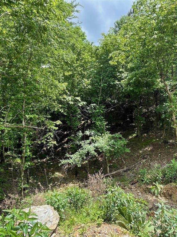 694 Timber Creek Trails South Xi Property Photo 1
