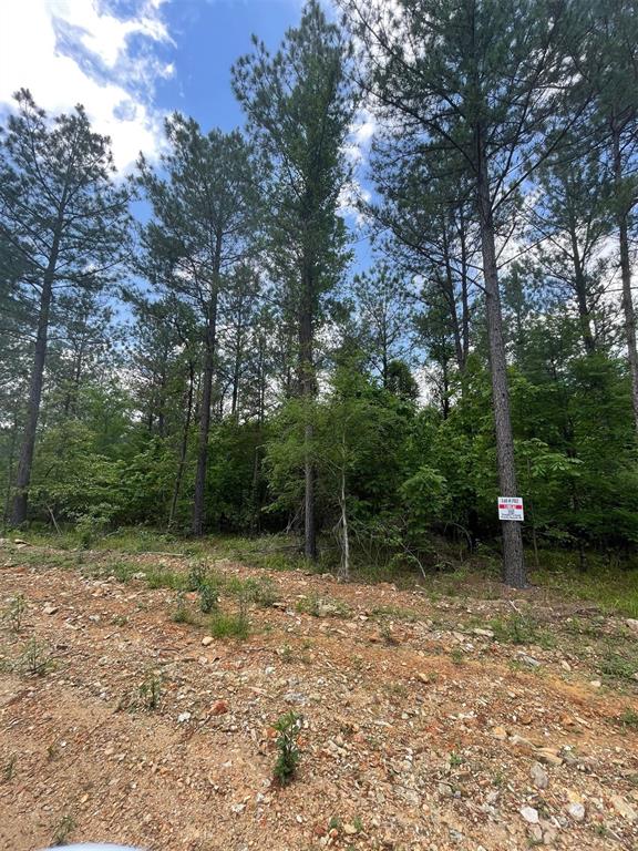 702 Timber Creek Trails South Xi Property Photo 1