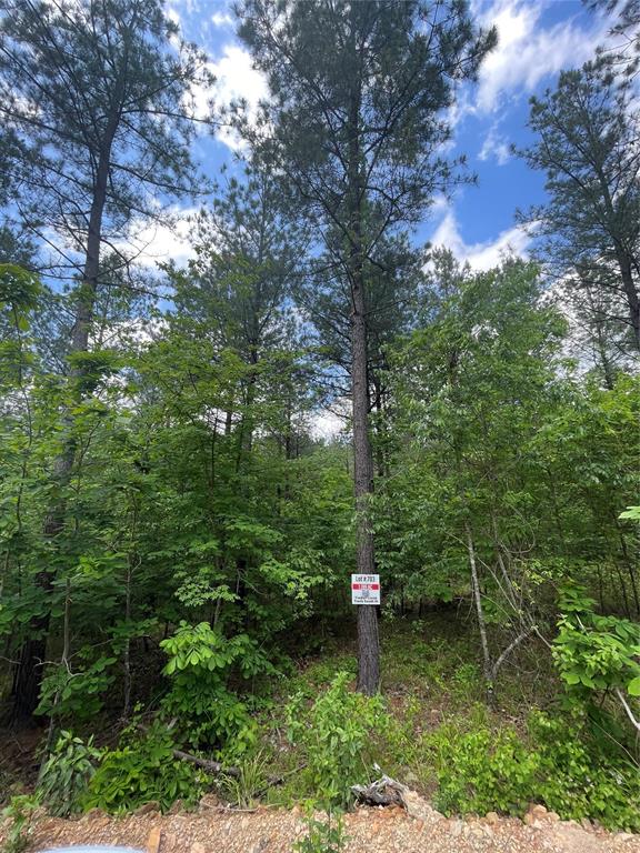 703 Timber Creek Trails South Xi Property Photo 1