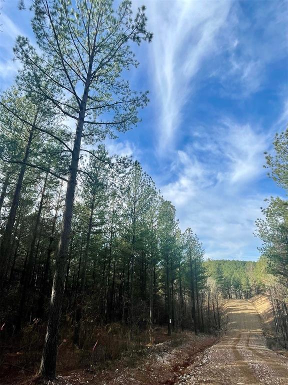710 Timber Creek Trails South XI Property Photo 1