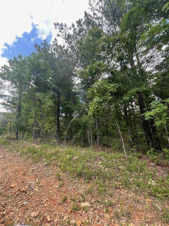 711 Timber Creek Trails South Xi Property Photo 1
