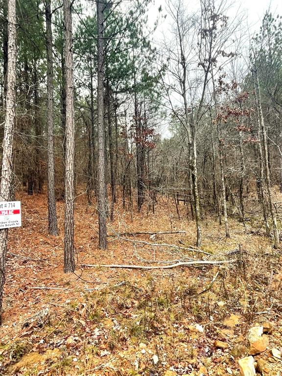 714 Timber Creek Trails South Xi Property Photo 1
