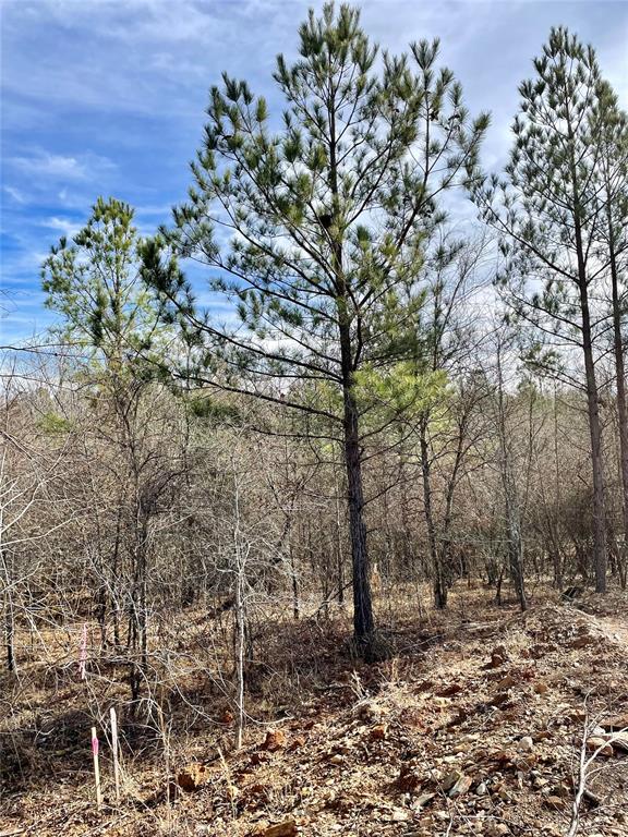 724 Timber Creek Trails South Xi Property Photo 1