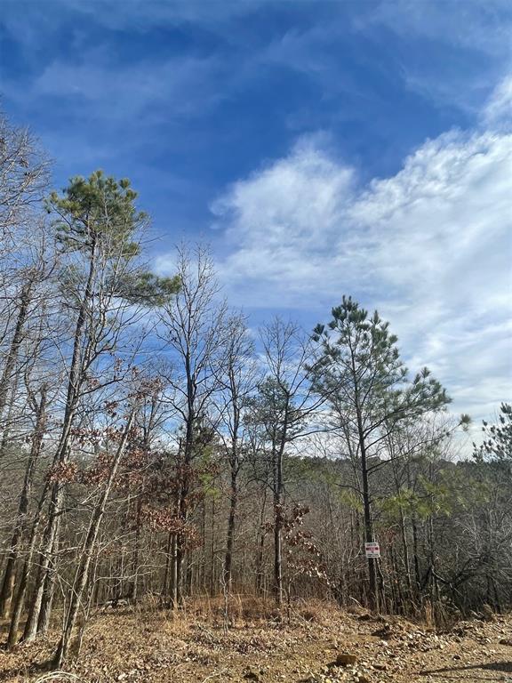 725 Timber Creek Trails South Xi Property Photo 1
