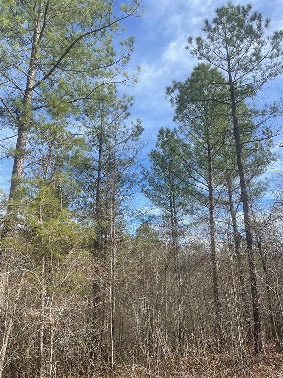 726 Timber Creek Trails South XI Property Photo 1