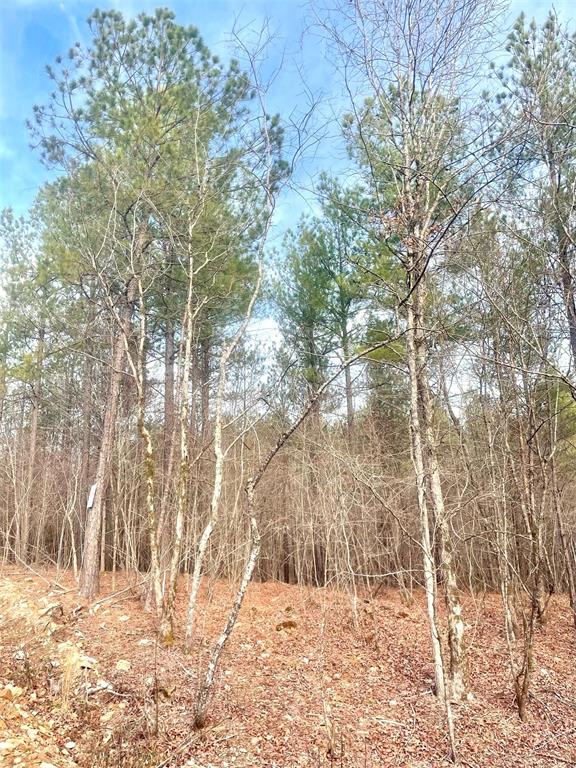727 Timber Creek Trails South Xi Property Photo 1