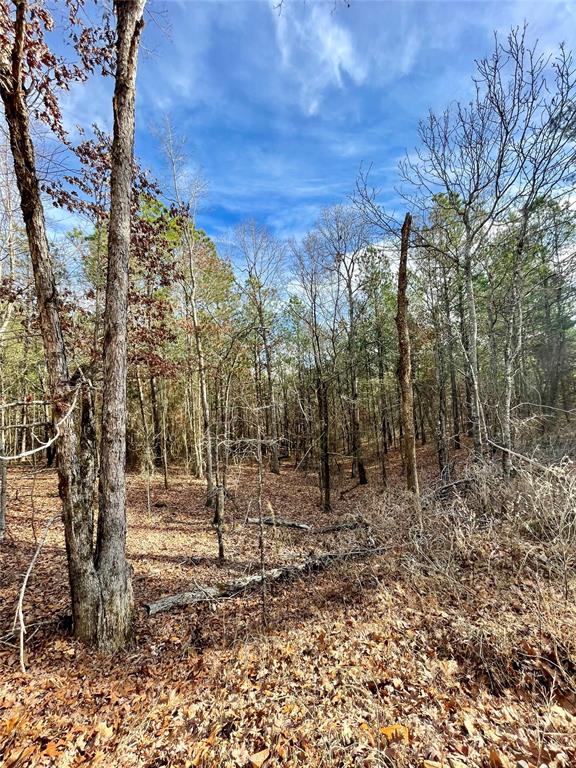 731 Timber Creek Trails South XI Property Photo 1