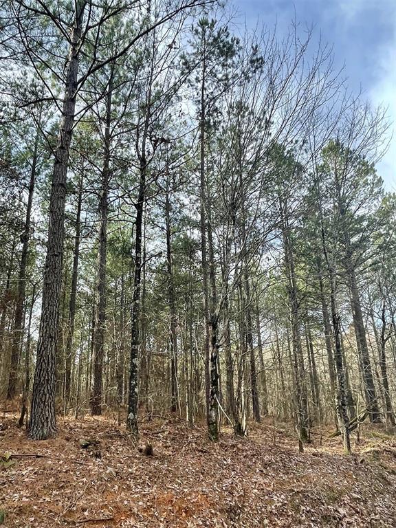 739 Timber Creek Trails South Xi Property Photo 1