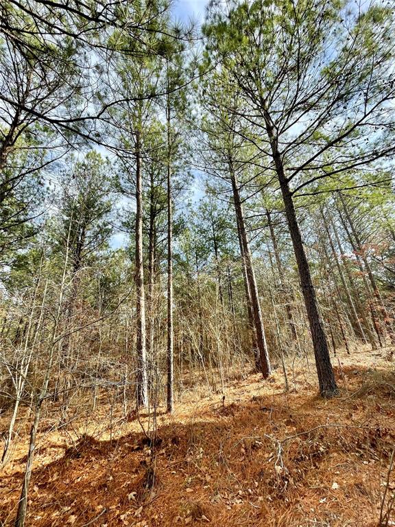 743 Timber Creek Trails South XI Property Photo 1