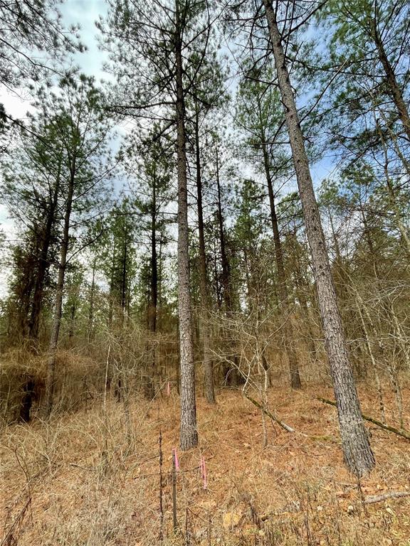 748 Timber Creek Trails South XI Property Photo 1